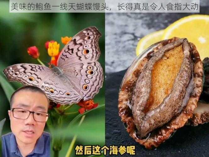 美味的鲍鱼一线天蝴蝶馒头，长得真是令人食指大动